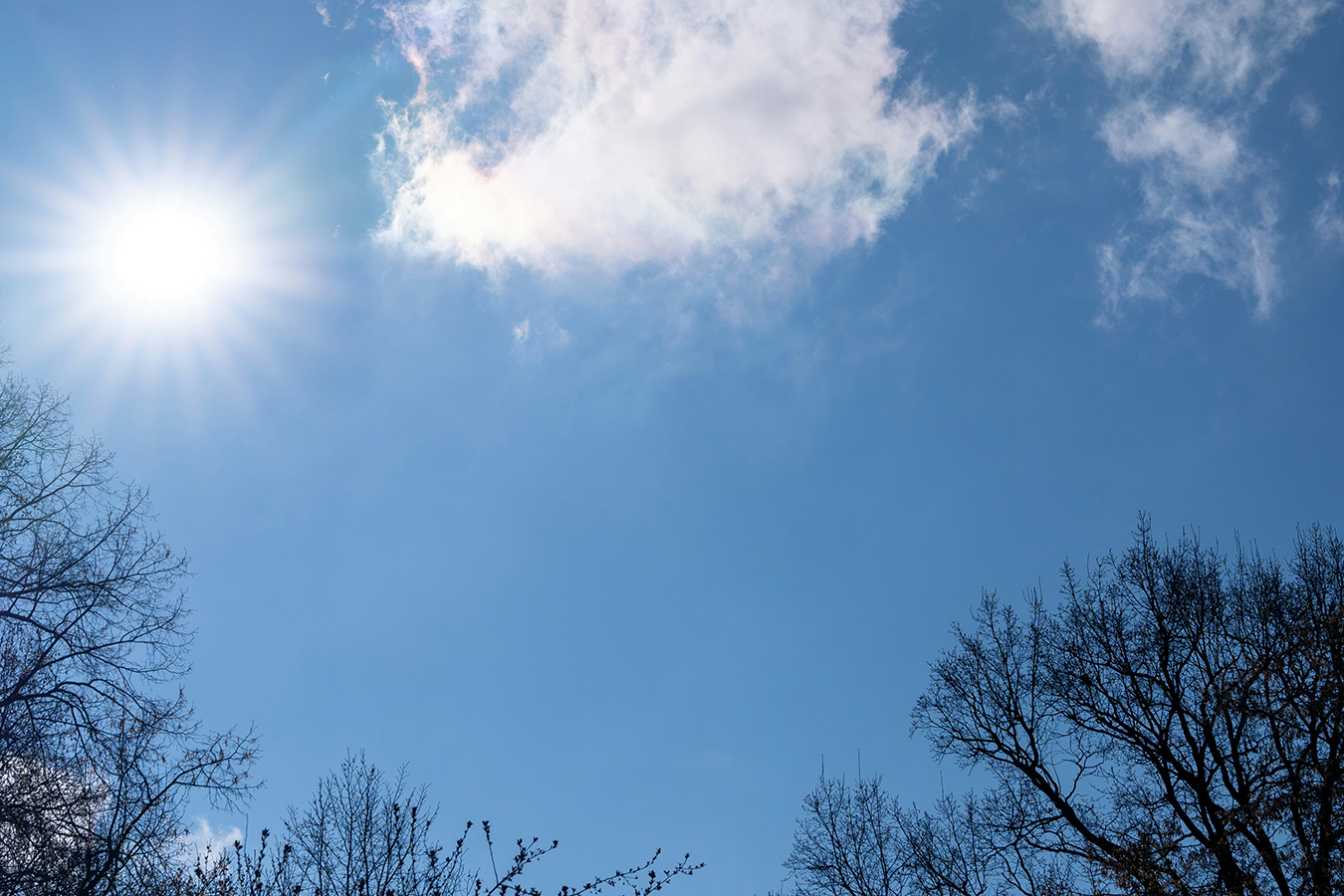 Wetter in Bad Neustadt an der Saale
