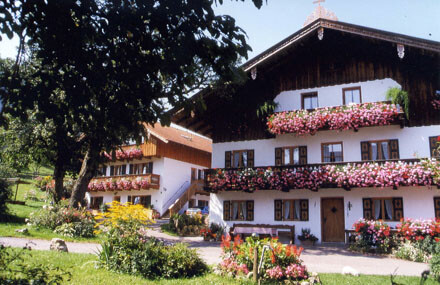 Haus