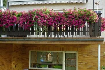 Monteurzimmer in Eitorf - Ferienwohnung Schiefen