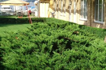 Monteurzimmer in Schwielowsee - Pension Wolff