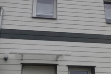 Monteurzimmer in Eisfeld - Sonnenblume