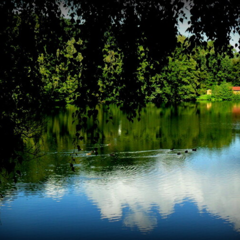 Monteurzimmer in Fürstenau - Mobilheim im Ferien- und Angelpark Fürstensea