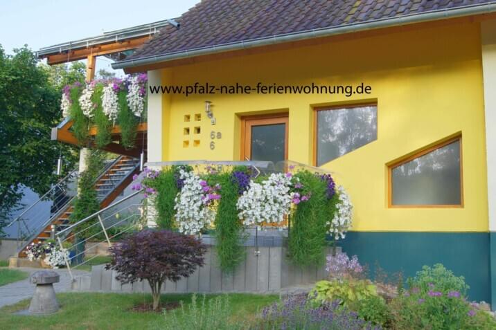 Schauen sie unsere Website an!