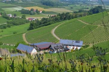Monteurzimmer in Oberkirch - Dilgerhof - wohnen mit Komfort 
