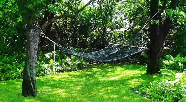 Monteurzimmer Komplettes Haus Mit 1 300qm Garten In 13125 Berlin