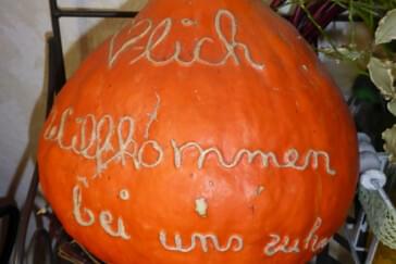 Monteurzimmer in Eberhardzell-Ampfelbronn - Privatzimmer Spieler