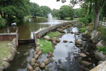  Oste direkt vor der Tür