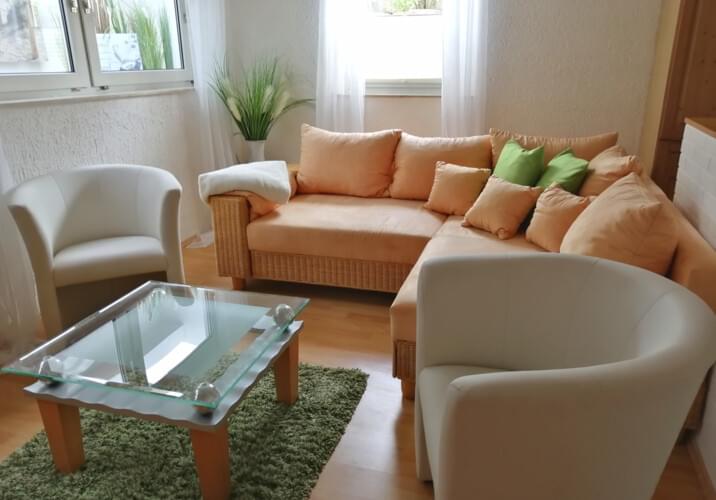 Wohnzimmer mit Schlafsofa