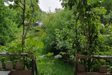 Monteurzimmer in Friedeburg - Ruheoase am Waldesrand