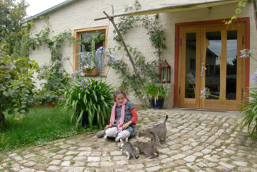 Monteurzimmer in Naumburg (Saale) - Steinmeister Gästehaus/anfrage@steinmeister.net