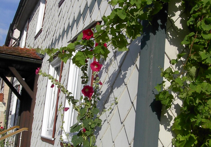 Gästehaus "Zur Fähre"