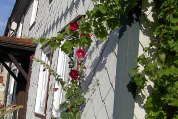 Monteurzimmer in Reinhardshagen - Gästehaus Zur Fähre