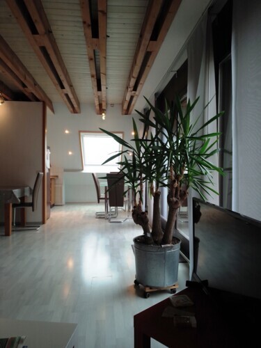 Dachgeschoss Wohnbereich