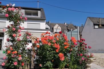 Monteurzimmer in Kröv - Silvia Hüls