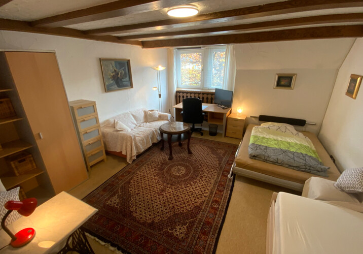 Wohnung 1 Zimmer 3 Blick zur T