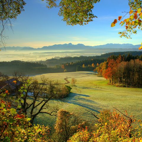 Monteurzimmer in Feldkirchen-Westerham-Kleinhöhenrain - LandGutHotel-Gasthof Zur schönen Aussicht