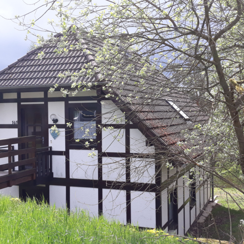 Monteurzimmer in Frankenau - Feierabend in der Natur genießen