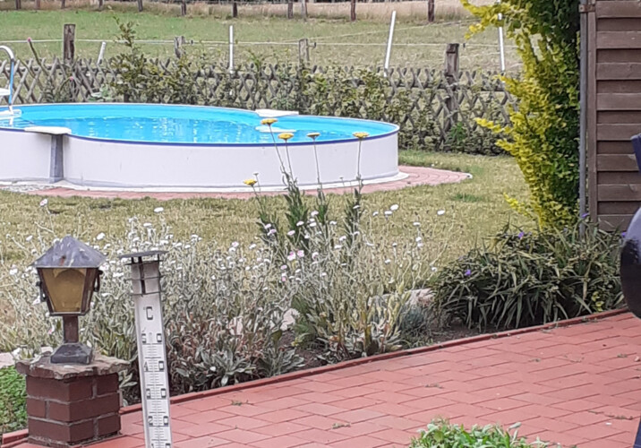 Poll im Garten