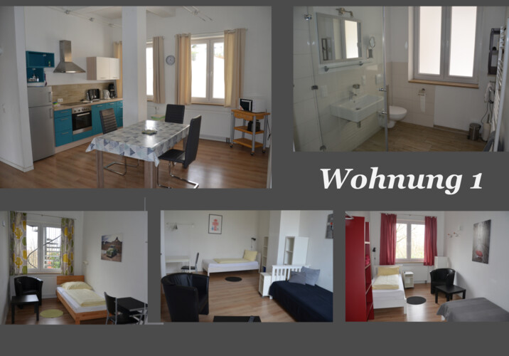 Wohnung 1