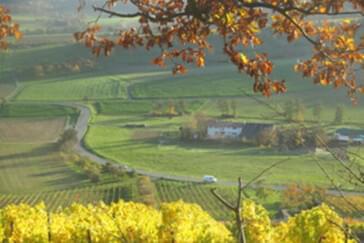 Monteurzimmer in Eppingen-Kleingartach - Rosbachhof