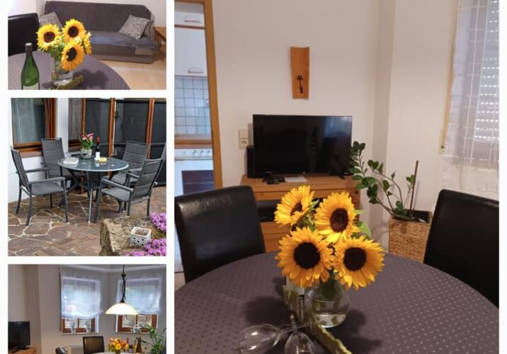 Herrengasse, 2 Zimmer-Wohnung 