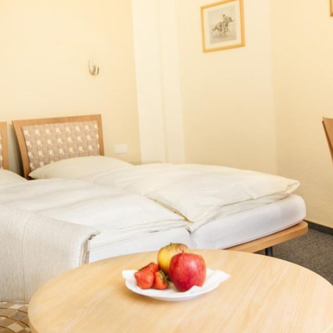 Monteurzimmer in Elze - Stichweh's Hotel am Bahnhof