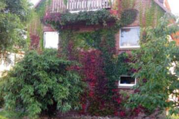 Monteurzimmer in Hohnstorf/Elbe - Ferienwohnungen direkt an der Elbe - fast nur EINZELBETTEN