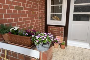 Monteurzimmer in Uetze - Ferienwohnung in 31311 Uetze/OT Schwüblingsen