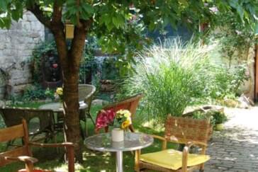 unter dem Kirschbaum