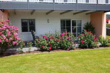 Monteurzimmer in Kirchdorf im Wald - Ferienwohnung Breit