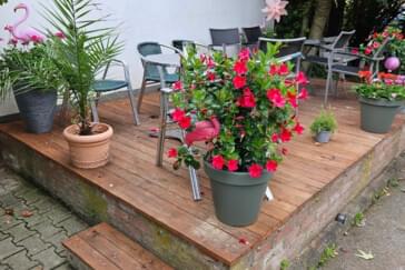 Monteurzimmer in Bedburg - Pansion Mediterrano 