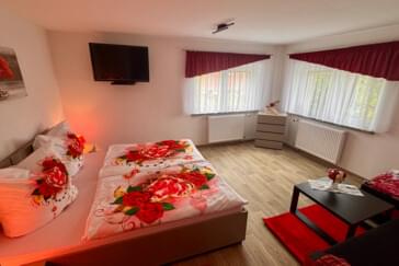 Monteurzimmer in Neustadt in Sachsen-Berthelsdorf - Monteur- und Ferienwohnung neu