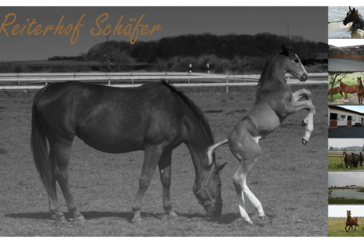 Monteurzimmer in Gommern-Dannigkow - Pension Reiterhof Schäfer
