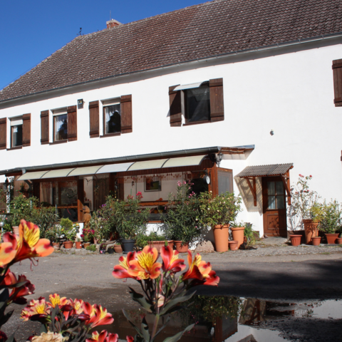 Monteurzimmer in Görzke - Reitpension Heidehof