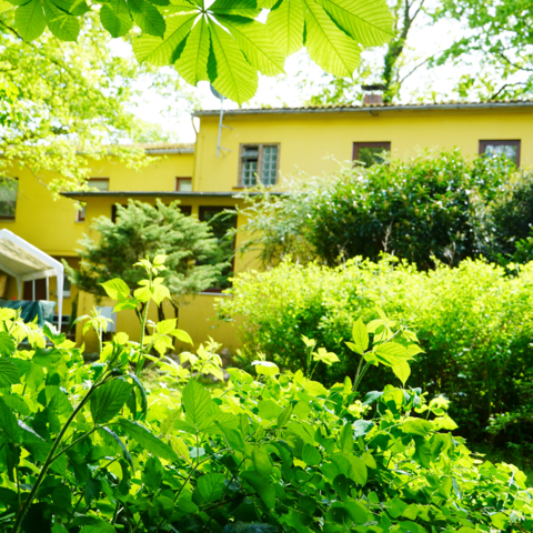 Monteurzimmer in Ganderkesee - Monteurzimmer in Ganderkesee (zw. Bremen und Oldenburg) | 20€ | WLAN, Küche, ruhige Lage