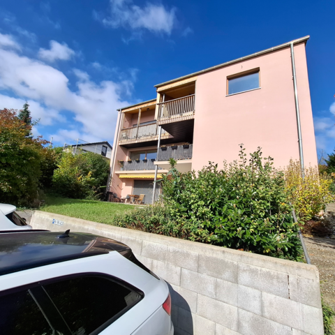 Monteurzimmer in Singen - Ferienwohnung Gina DG