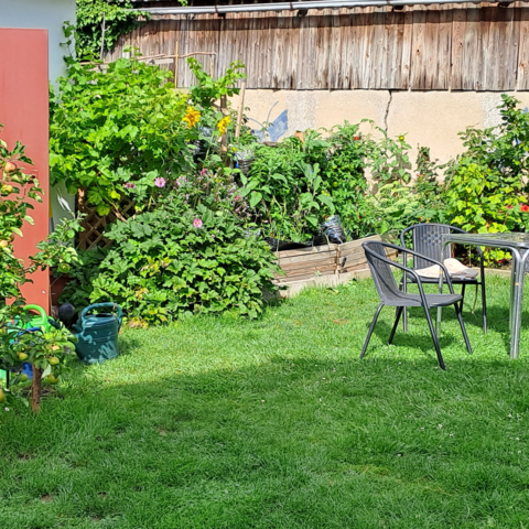 Monteurzimmer in Neustadt/Holstein - Zimmervermietung Aloha: Apartments / Wohnungen