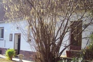 Monteurzimmer in Brandenburg - Haus  Murz