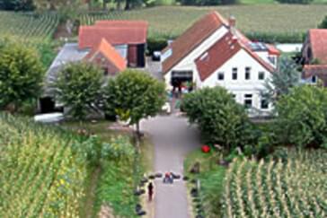 Ansicht von Straßenseite