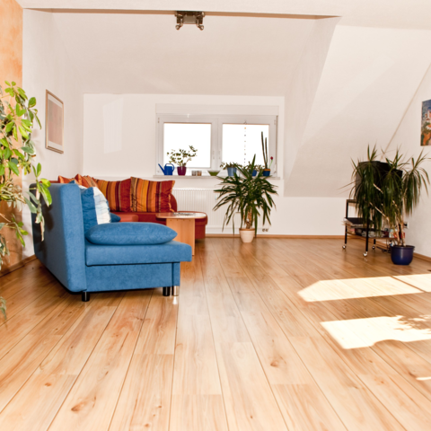 Monteurzimmer in Ochsenhausen - Ferienwohnungen van der Meij