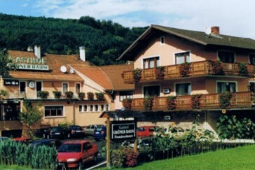 Monteurzimmer in Neckargerach - Gasthof Grüner Baum