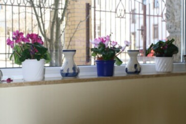 Monteurzimmer in Dresden - Wilder Mann