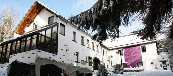 Feldmaus Außenbereich