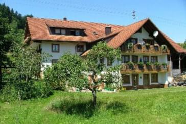 Monteurzimmer in Kleines Wiesental-Sallneck - Dreher`s Ferienwohnungen 